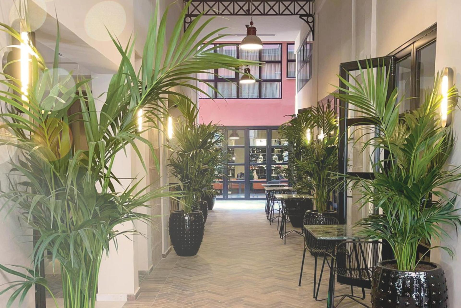 Anise, Aluma Hotels & Resorts Athens Luaran gambar